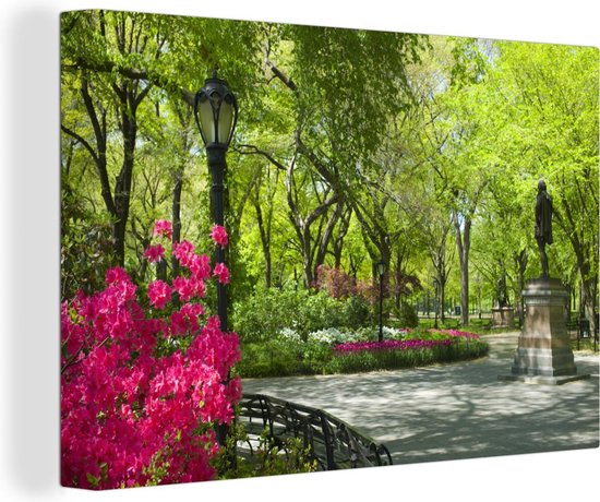 Central Park New York avec une plant rose 30x20 cm - petit - Tirage photo sur toile (Décoration murale salon / chambre)