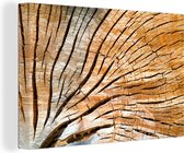 Une coupe transversale d'un tronc d'arbre 90x60 cm - Tirage photo sur toile (Décoration murale salon / chambre)