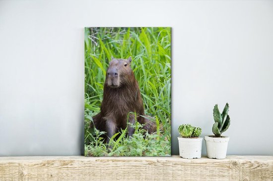 Canvas Schilderij Een Capibara zit in het hoge groene gras - 20x30 cm - Wanddecoratie