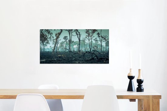 Burnt down Amazon rainforest 80x40 cm - Tirage photo sur toile (Décoration  murale... | bol.com