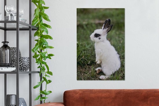 Canvas Schilderij Konijn - Huisdier - Gras - 60x90 cm - Wanddecoratie