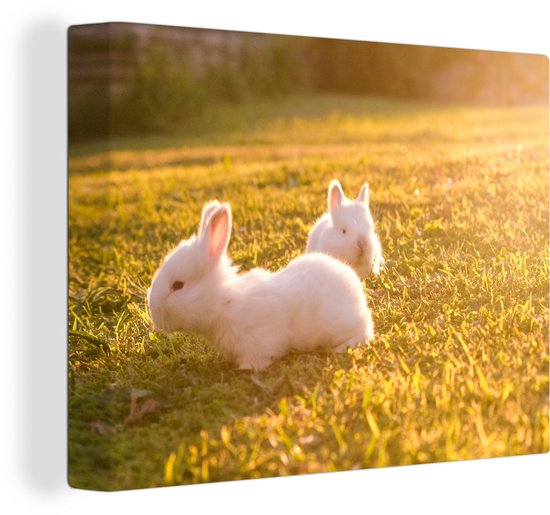 Peintures sur toile - Deux bébés lapins jouant dans l'herbe - 120x90 cm - Décoration murale