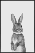 JUNIQE - Poster in kunststof lijst Paws & Claws Bunny -20x30 /Wit &