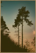 JUNIQE - Poster met kunststof lijst The Forest II -20x30 /Oranje &