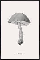 JUNIQE - Poster in kunststof lijst Bolete Mushroom -40x60 /Grijs &