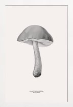 JUNIQE - Poster in houten lijst Bolete Mushroom -20x30 /Grijs & Ivoor