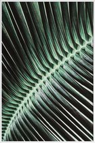 JUNIQE - Poster met kunststof lijst Curved Palm -30x45 /Groen