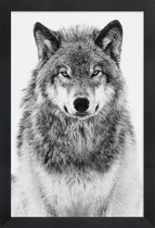 JUNIQE - Poster in houten lijst Winterwolf -20x30 /Grijs