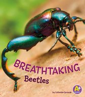 Bugs Are Beautiful! - Breathtaking Beetles