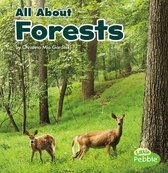 Habitats - All About Forests
