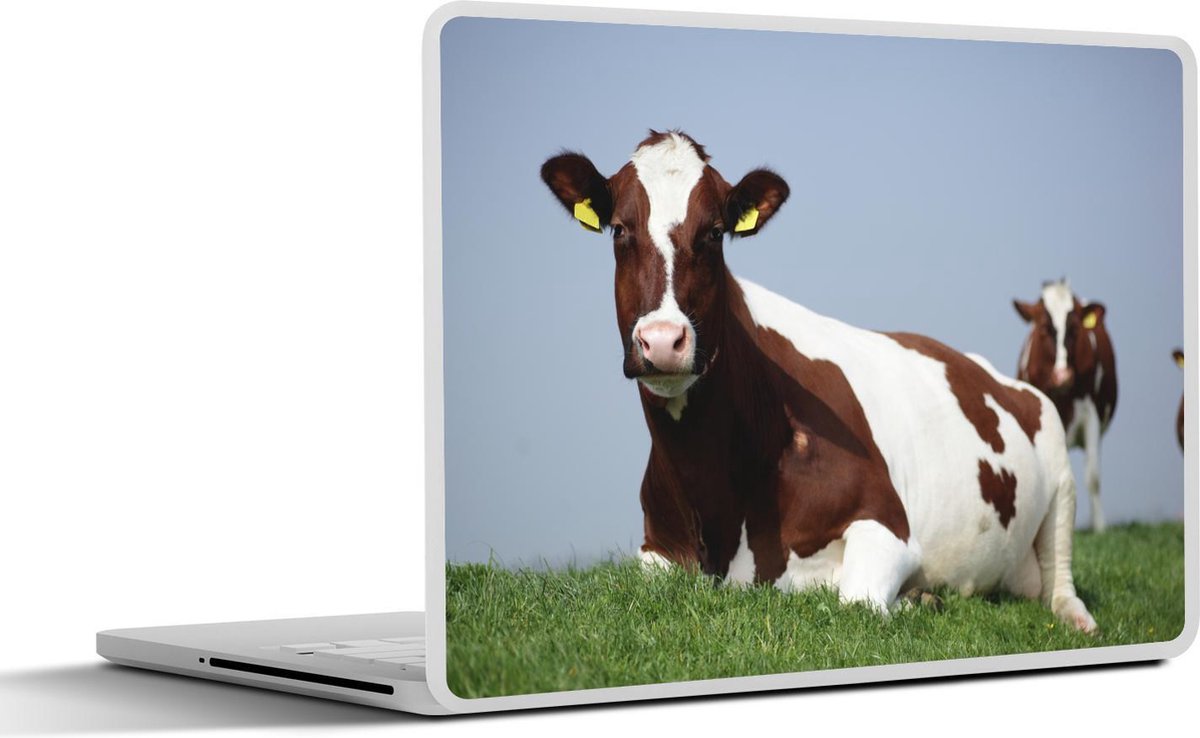 Laptop sticker - 11.6 inch - Koeien - Gras - Friesland - 30x21cm - Laptopstickers - Laptop skin - Cover