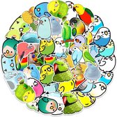 Winkrs | Parkieten Stickers | Vogel Stickers | Leuke Stickers Dwergpapegaai | 50 Stickers Voor laptop, muur, deur, koffer, schriften, etc.