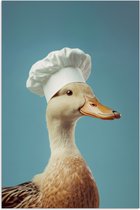 Affiche 20x30 cm - Canard - Toque de chef - Mignon - Vogel - Posters - Décoration murale cuisine - Décoration murale salon - Accessoires décoratifs - Décoration murale chambre