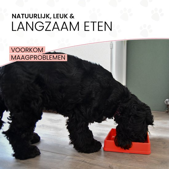 Zwarte hond eet langzaam uit rode sterrenvoerbak. Teksten "NATUURLIJK, LEUK & LANGZAAM ETEN", "VOORKOM MAAGPROBLEMEN".