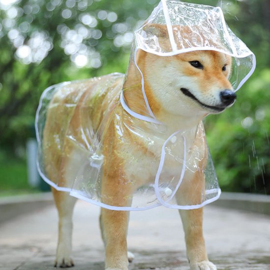 DQGHQME hondenregenjas voor honden, reflecterend, waterdichte regenjas voor honden, met capuchon, verstelbare regenjassen voor kleine, middelgrote en grote honden met klittenbandsluiting, geel, XL