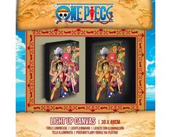 One Piece - Chopper With Friends - Light Up Canvas