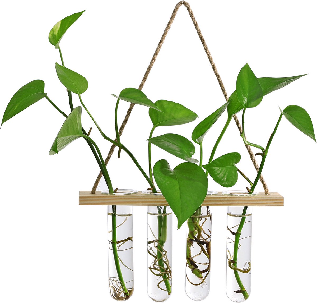 Stekstation met 4 reageerbuisjes - Ophangbaar - Hout - met borsteltje - Stek Station - Glaasjes - Vaasjes - Stekjes - Bloemen