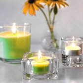 Bol.com Bolsius - True Scents - Geurtheelichten - 18 stuks per verpakking - Mimosa aanbieding