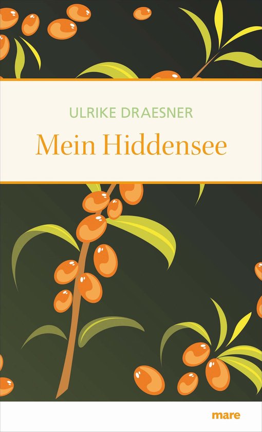 Meine Insel - Mein Hiddensee - cover