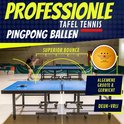 Oranje pingpongbal met 'NIBIRU SPORT' logo en 3 sterren. Tafeltennis opstelling op de achtergrond.