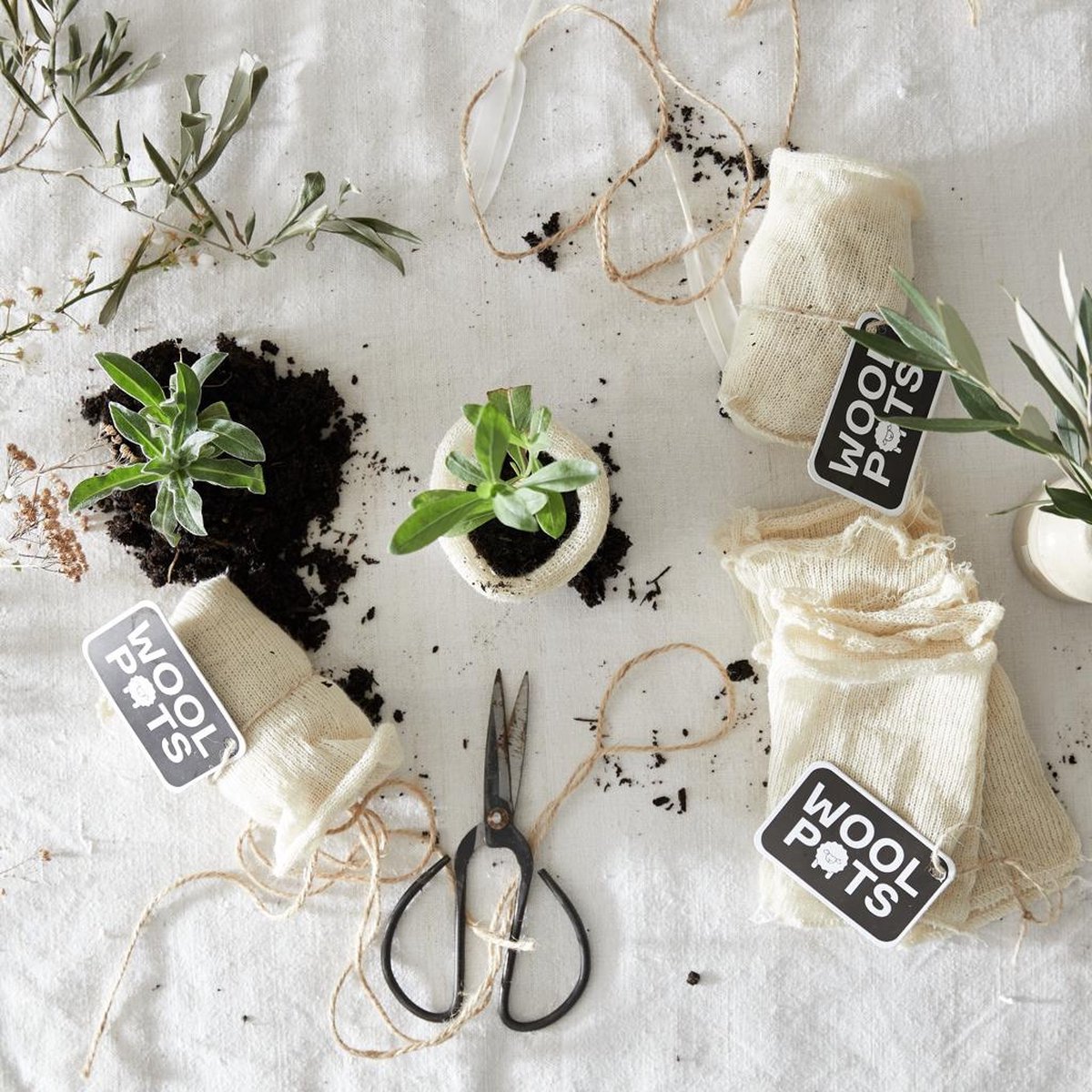Wool Pots milieuvriendelijk alternatief voor plastic plantenpotten