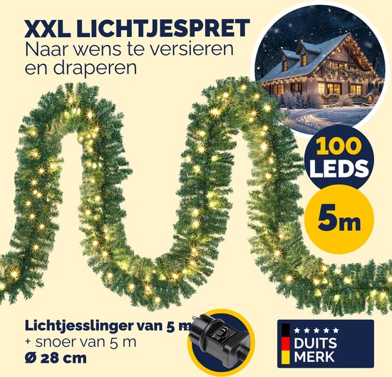 LED Zweig Federbüschel - Pampasgras - 6 warmweiße LED - H: 70cm - Timer - für In