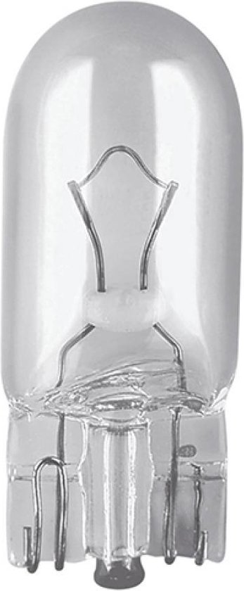 Ampoule en verre avec culot métallique et filament visible. Forme bulbeuse ovale.