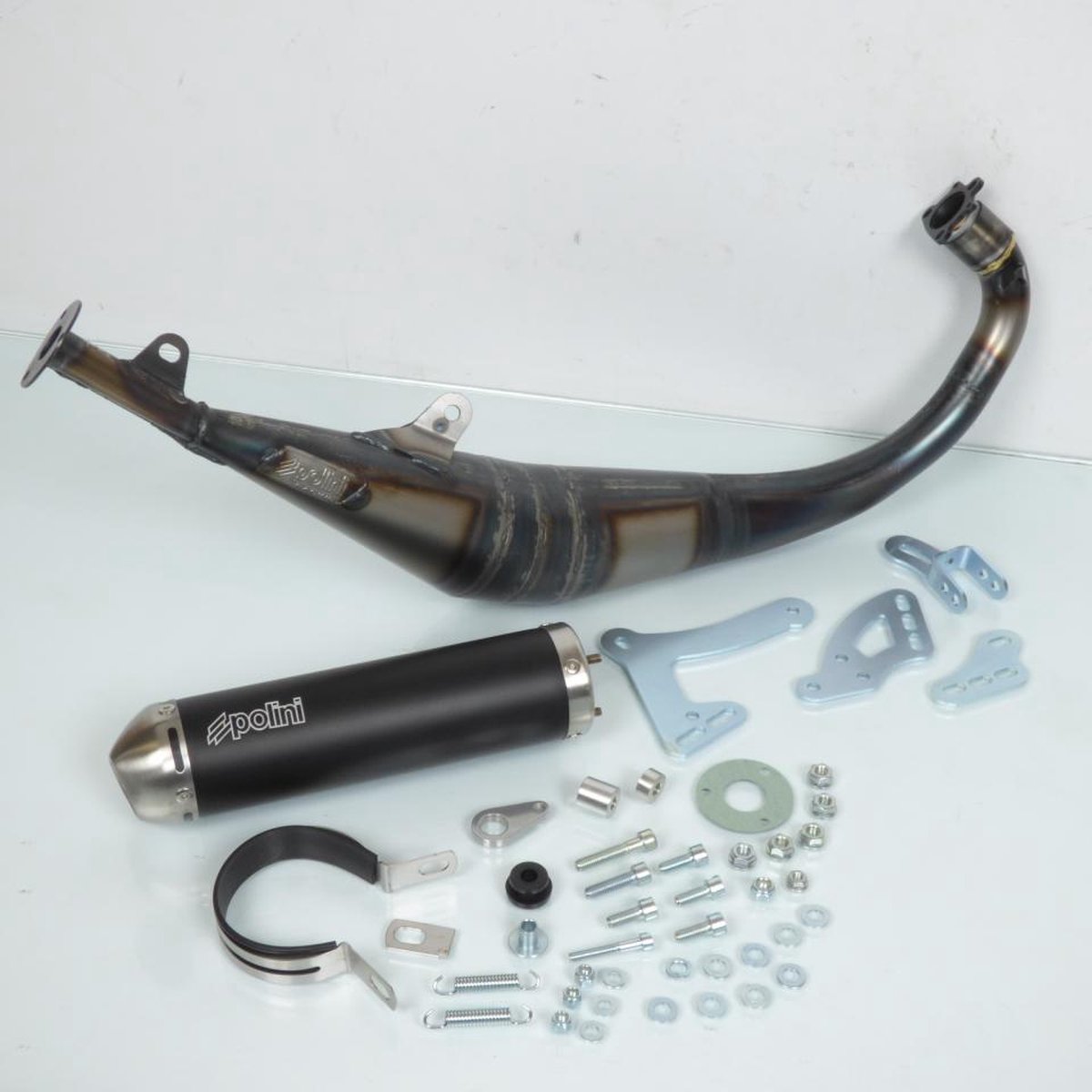 Pot d échappement Polini pour Moto Rieju 50 RS2 Neuf
