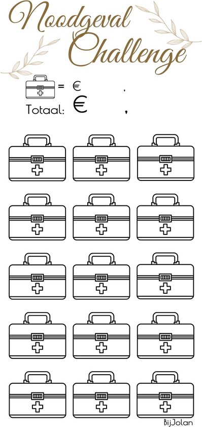 003 Cash Stuffing Challenge Kaarten - 10 stuks - Gelamineerd - BijJolan - Budgetplanner - Spaar Challenge kaarten