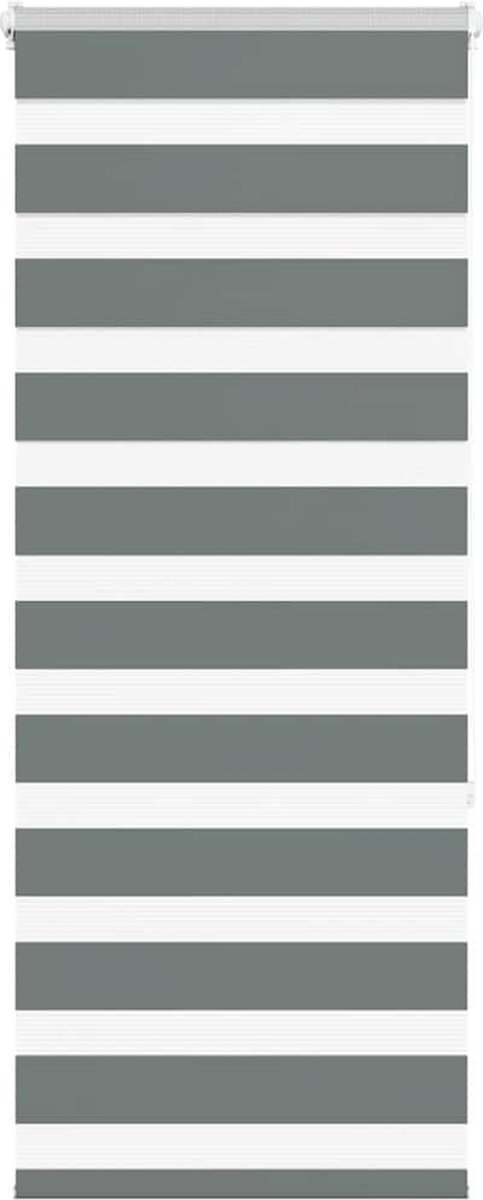 vidaXL - Zebra - rolgordijn - 60x150 - cm - stofbreedte - donkergrijs - 55,9 - cm