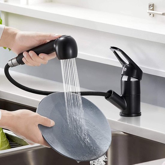 Caressi Keukenkraan CA122IU ECO Eenhendel Keukenmengkraan Volledig RVS Met Uittrekbare Handdouche