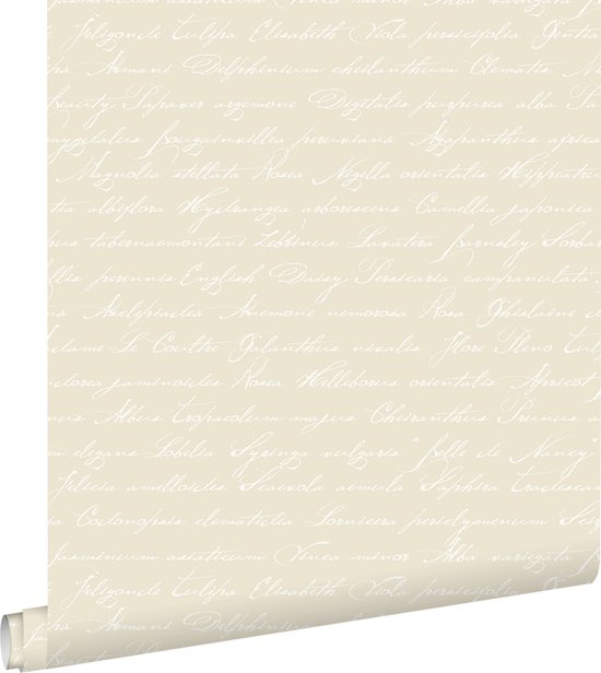 papier peint intissé imprimé craie manuscrite noms de fleurs latines beige - 128033 ESTAhome