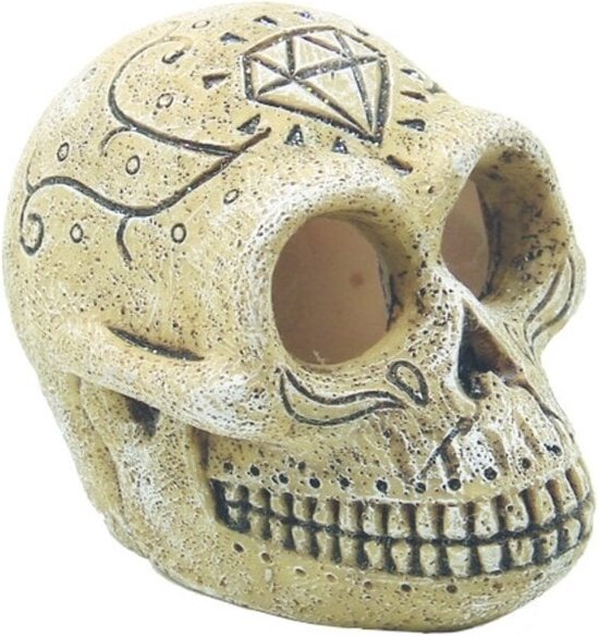 Superfish skull monkey