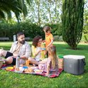 Een familie geniet van een picknick in het gras, met de grijze Brisby koelbox naast hen.