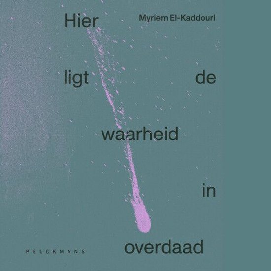 Hier ligt de waarheid in overdaad - cover