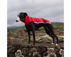 Hondenjas van Softshell - Rood - Softshell body - Whippet - Border Collie - Windhonden - Rapid Dog Wear - Maat S