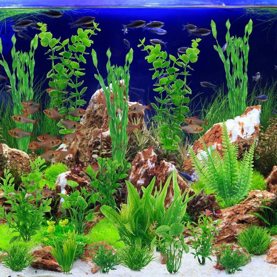 Sera Plantenset - Aquariumplanten