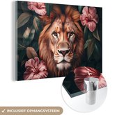 30 cm x 20 cm