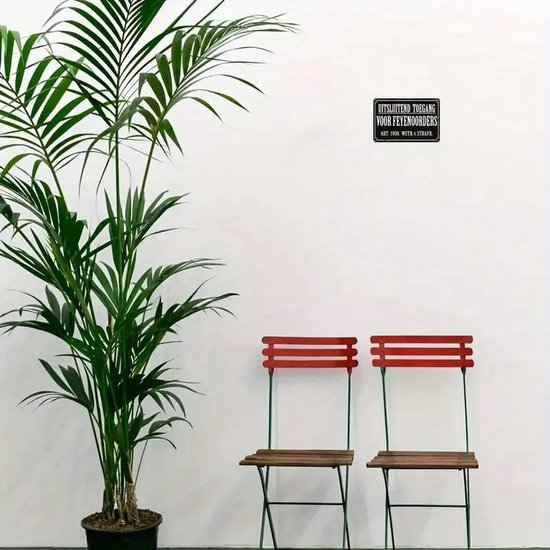 Décoration murale Feyenoord - Accès uniquement pour les commandes Feyenoord - Panneau de grotte en métal - Rotterdam