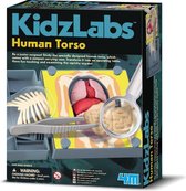 4m Kidslabs Human Science: Anatomie Romp