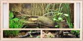 REPITERRA® Terrarium hout 120x60x60 cm met ventilatie aan de voorkant