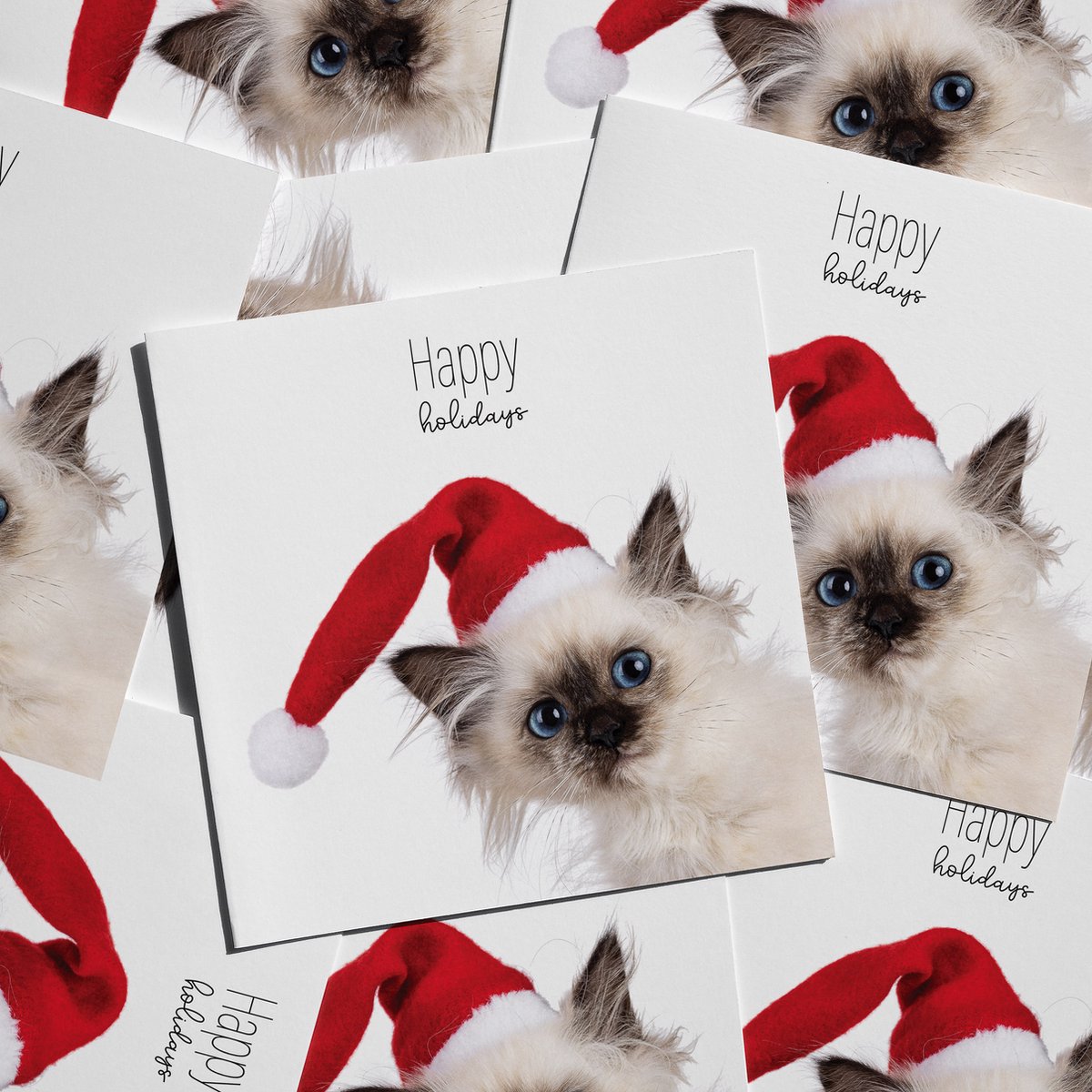 Cat'chy Images CARDS - kaarten - kerstkaarten - kitten - set10