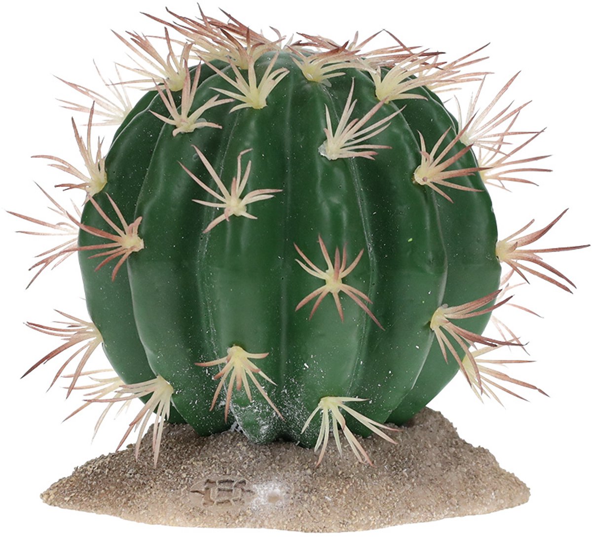 Terra Della - Reptielen - Echinocactus M - 11x10,5x11cm Groen - 162499