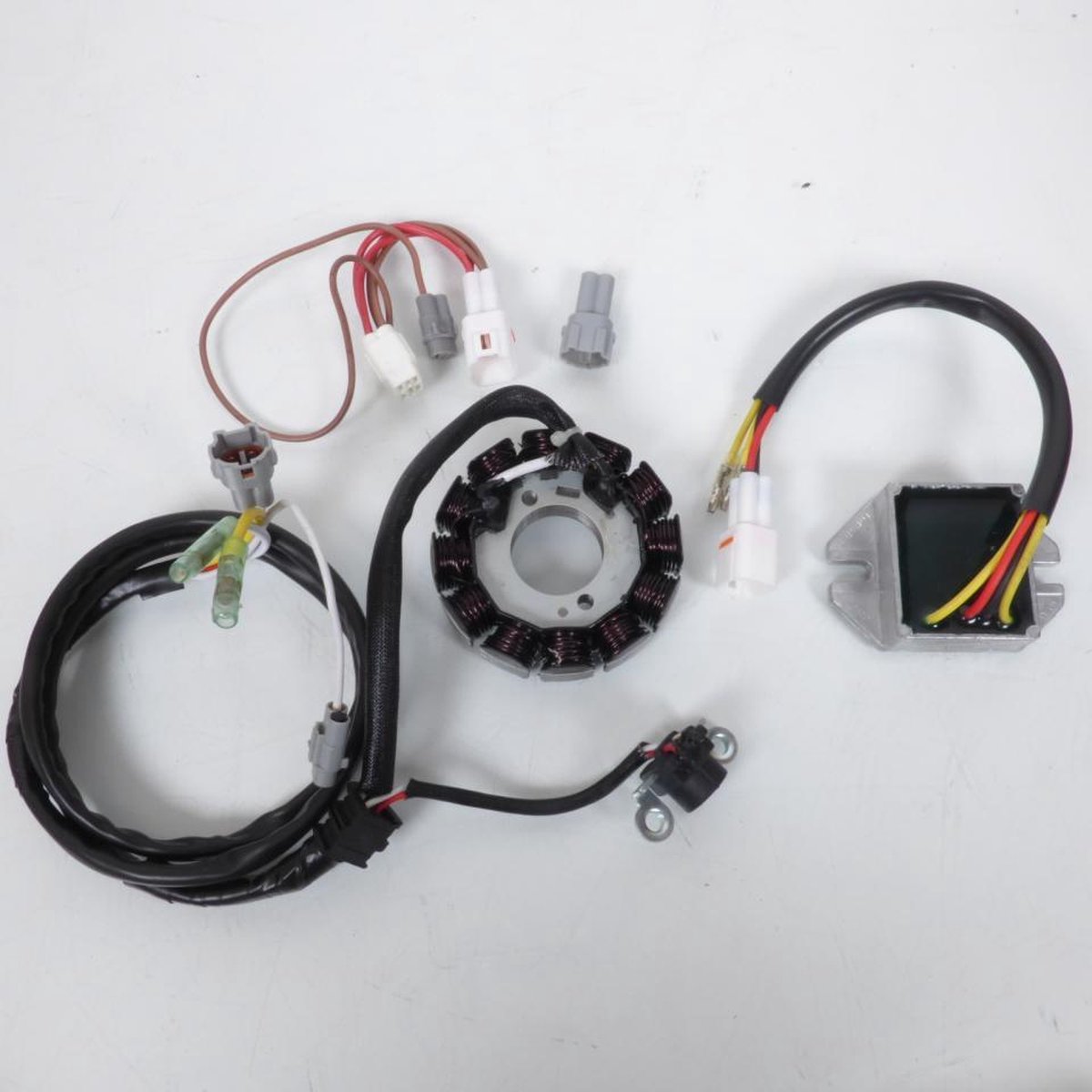 Stator d allumage RM Stator pour Jet Ski Polaris 300 Classic 2004 à 2006 RM01224 Neuf