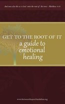 Get to the Root of It