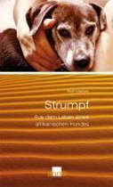 Strumpf - Aus dem Leben eines afrikanischen Hundes