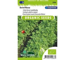 Sluis Garden - Kervel Massa Biologisch (Anthriscus cerefolium)