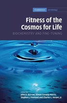 Fitness Of The Cosmos For Life
