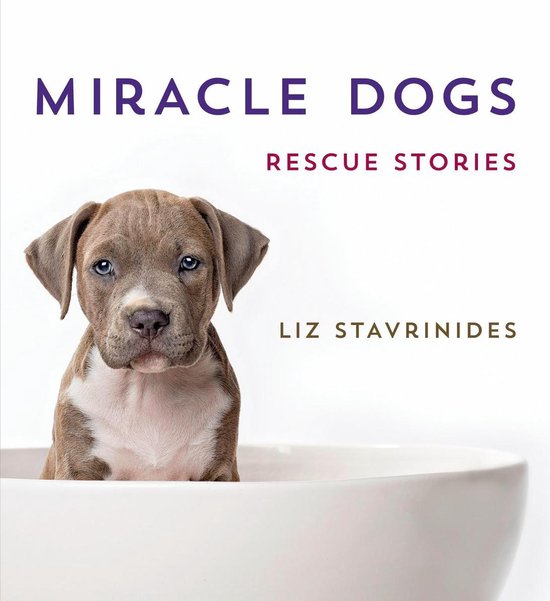 Miracle Dogs - cover