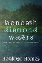 Beneath Diamond Waters